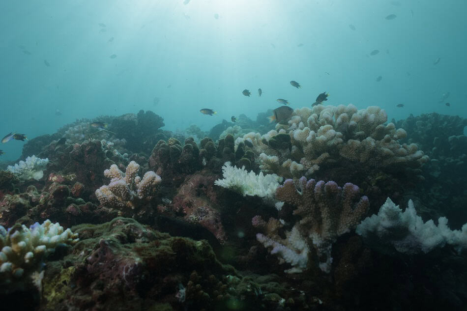 04044 04 5a1 0059