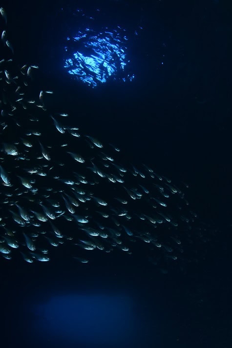 17174 17 5a1 6765