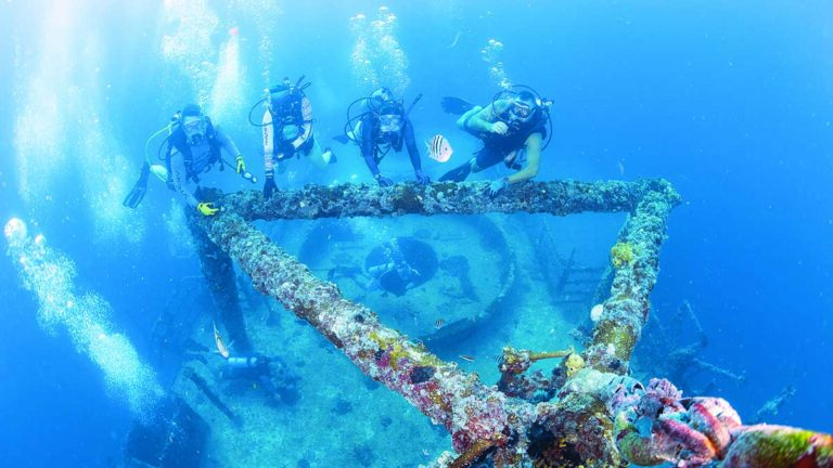 Des plongeurs explorent un épave sous-marine, révélant la richesse de la biodiversité marine dans un cadre captivant.