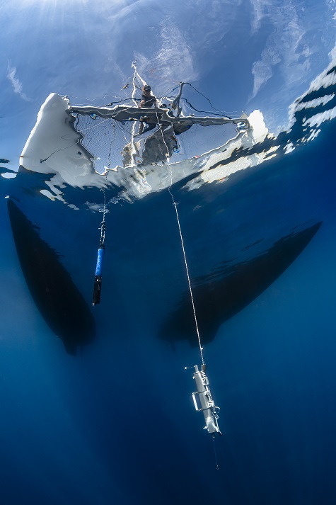 Expedition pelagos 10