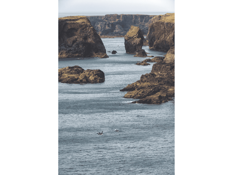 Ecosse (3)