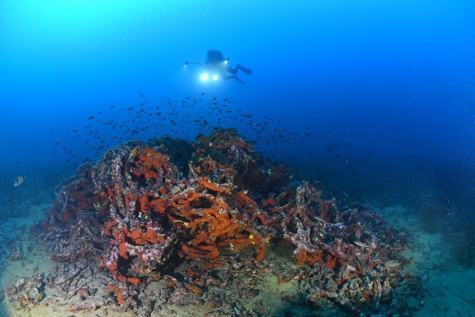 Filets anti sous marin © nicolas barraque (3)