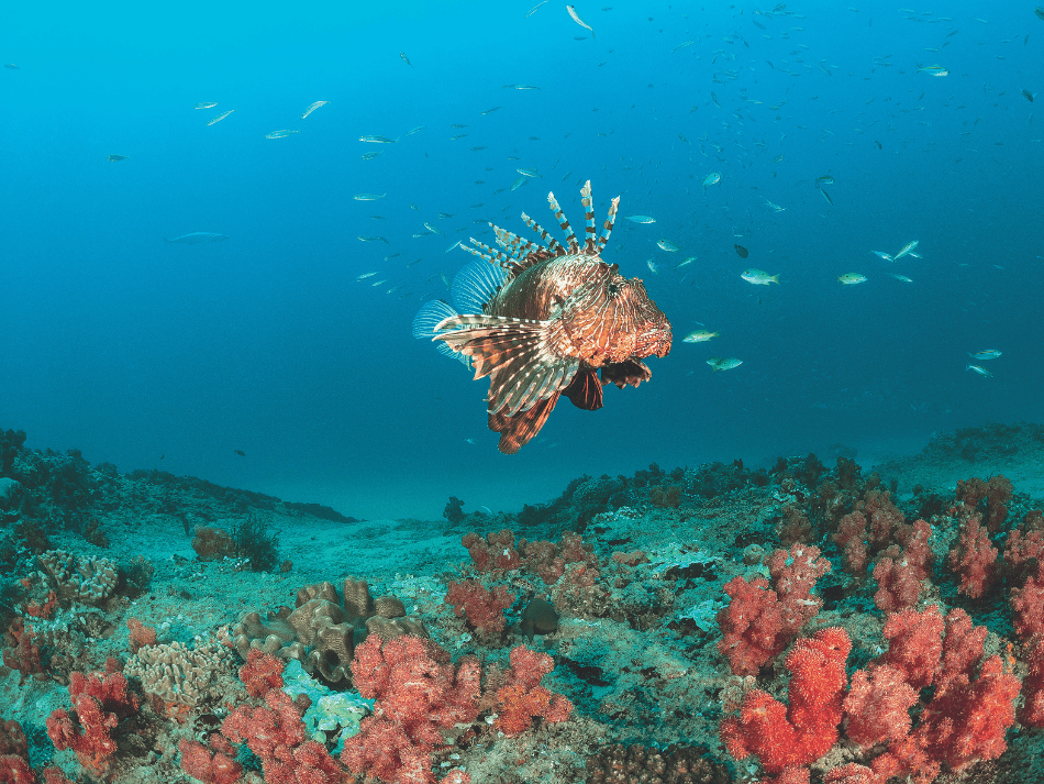 Mozambique (6)