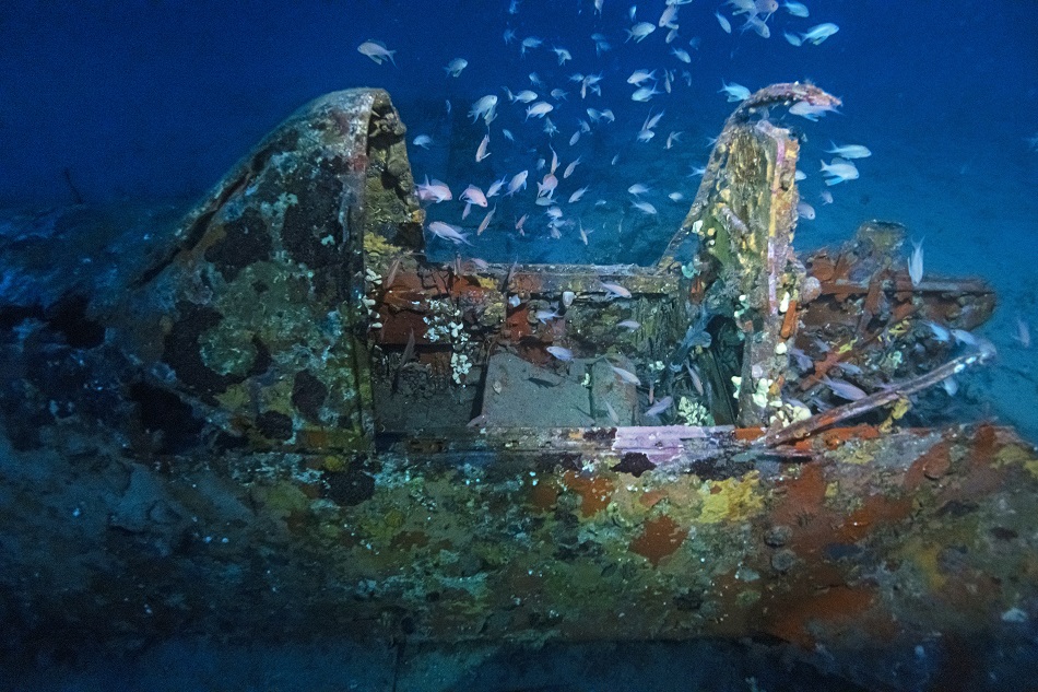 Mustang p51, plongée crépusculaire