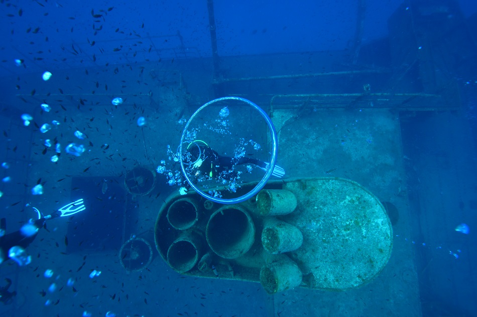 Nic 0540