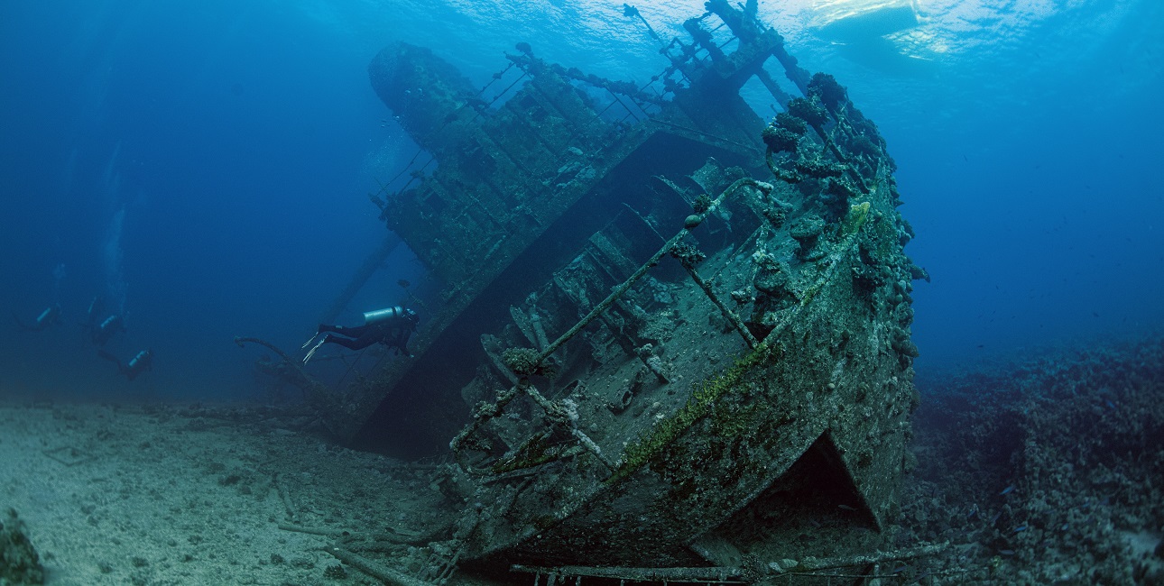Des plongeurs explorent l'épave captivante d'un navire, offrant un aperçu fascinant de l'histoire maritime sous-marine.