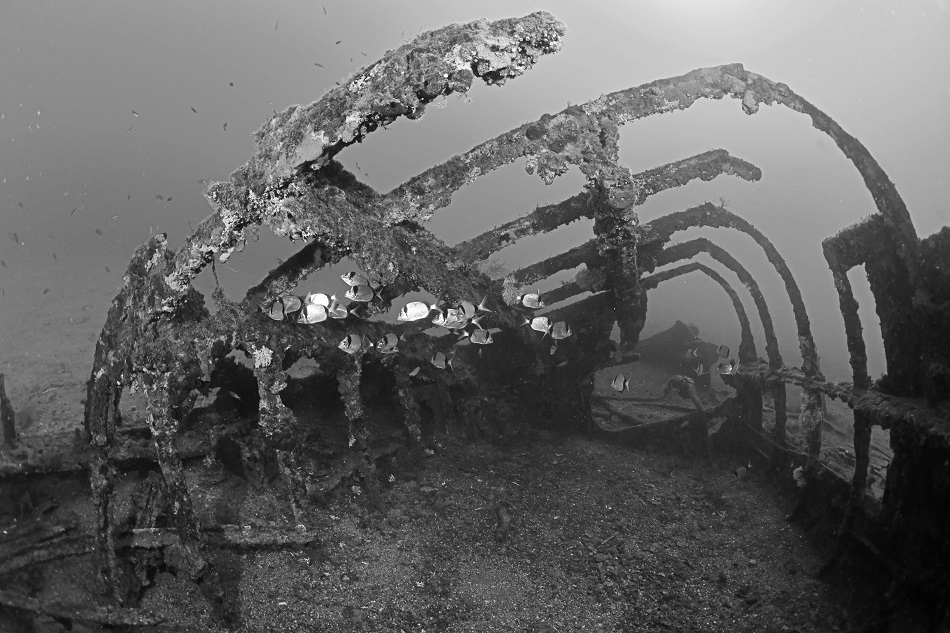 Nicolas barraque espingole cavalaire octobre 2020 nic 6796 copie