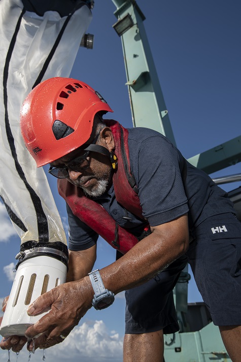 Plongez mission nekton maldives 16