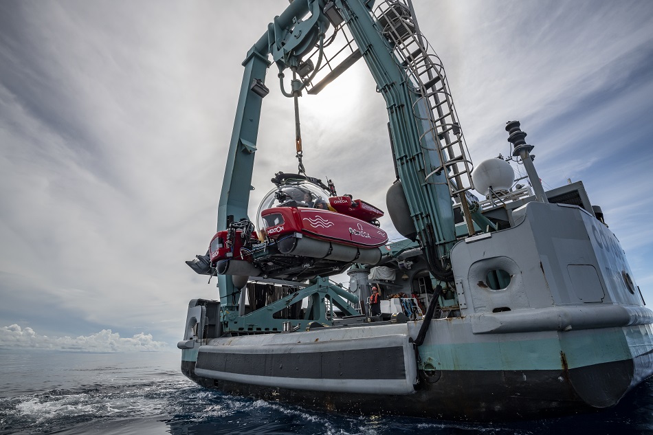 Plongez mission nekton maldives 26