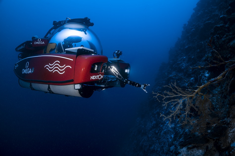 Plongez mission nekton maldives 32