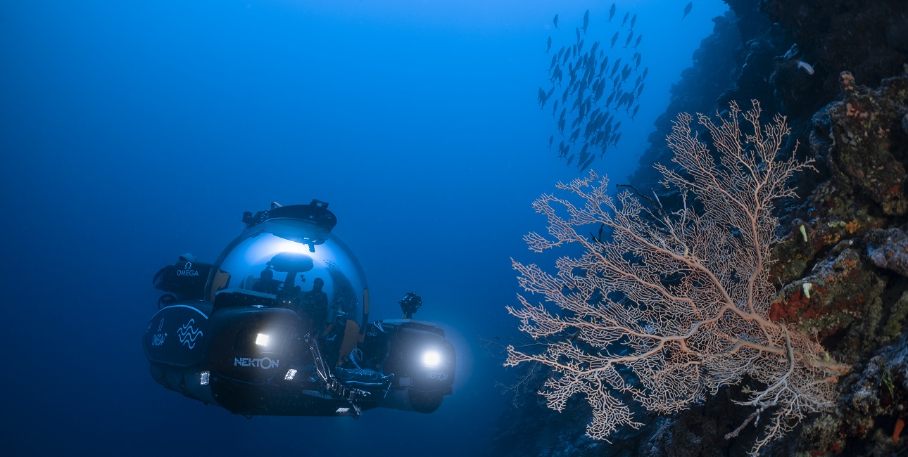 Un sous-marin explore les récifs coralliens des Maldives, révélant la richesse de la biodiversité marine. #ExplorationSous...