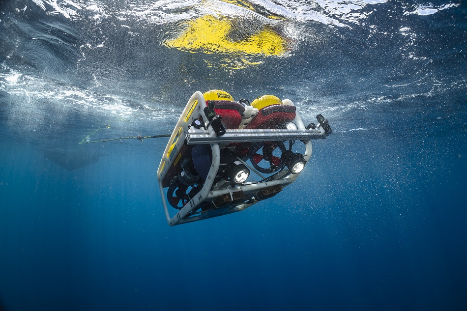 Plongez mission nekton maldives 43