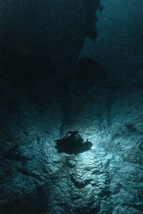 Plongez mission nekton maldives 47