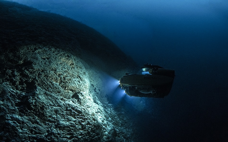 Plongez mission nekton maldives 53