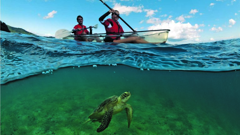 Deux kayakistes pagaient au-dessus d'une tortue marine dans des eaux cristallines, illustrant l'harmonie de l'écotourisme.