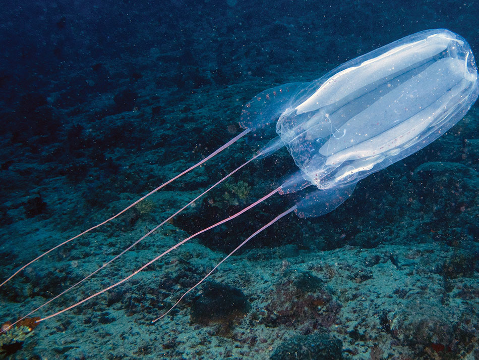 Bio 7