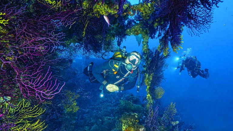 Deux plongeurs explorent un récif corallien vibrant, illuminant la biodiversité marine sous-marine. #Plongée