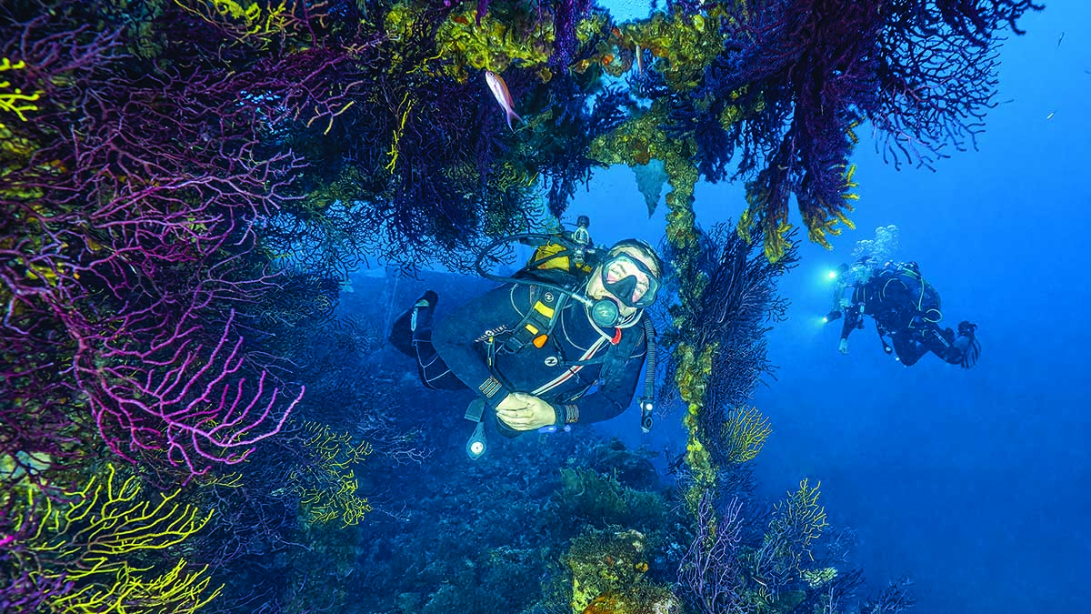 Deux plongeurs explorent un récif corallien vibrant, illuminant la biodiversité marine sous-marine. #Plongée