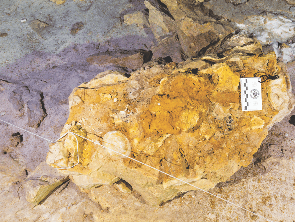 Cenotes articles (12)