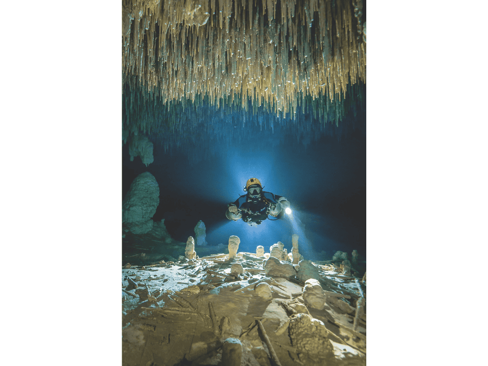 Cenotes articles (13)