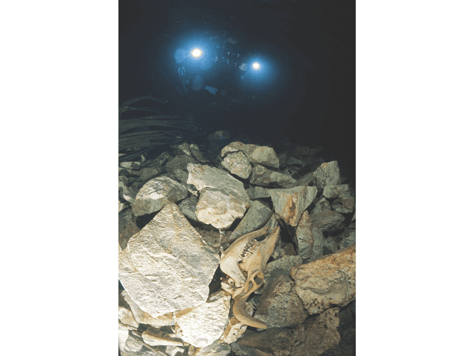 Cenotes articles (17)