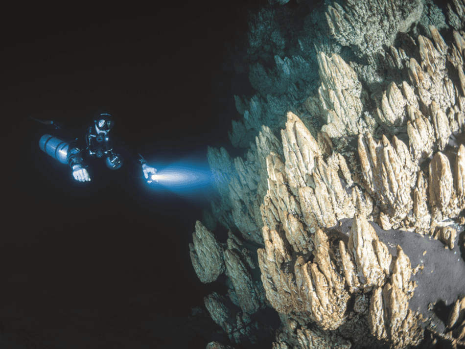 Cenotes articles (18)