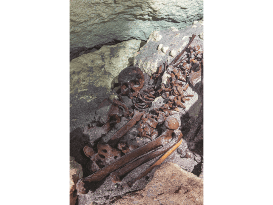 Cenotes articles (2)