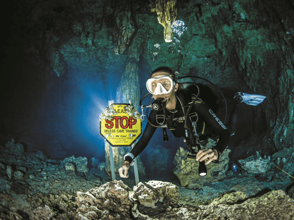 Cenotes articles (20)