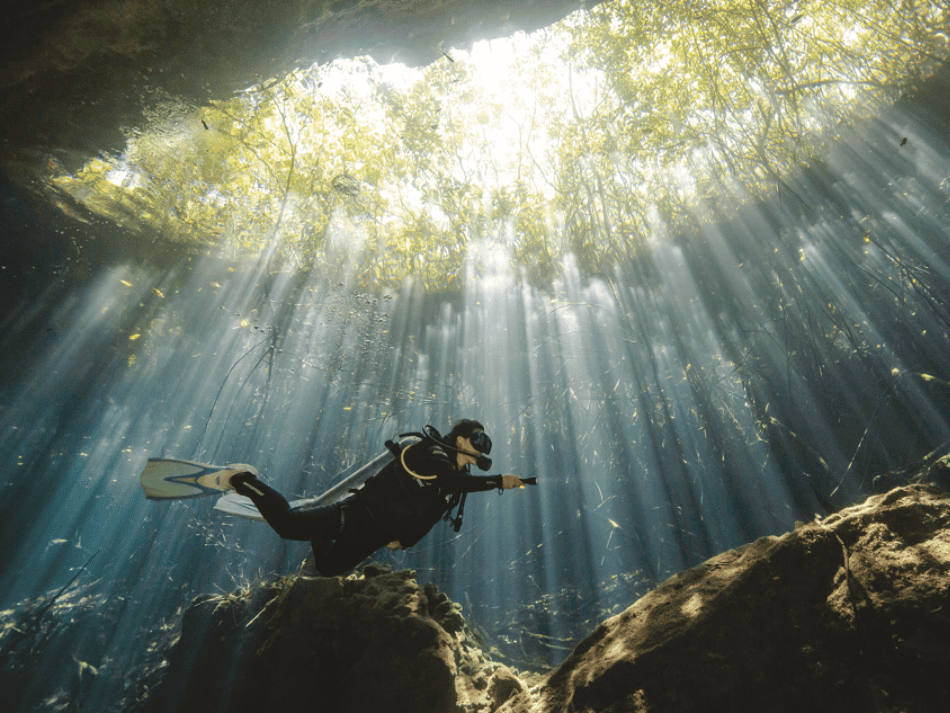 Cenotes articles (4)