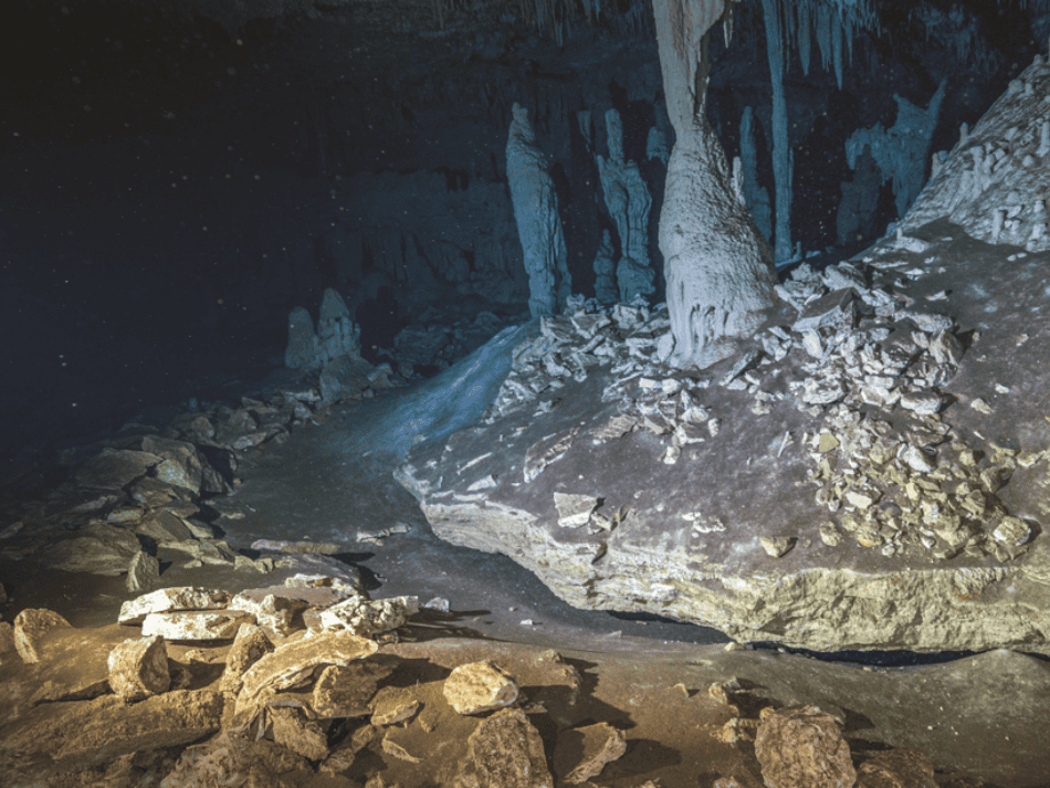 Cenotes articles (6)