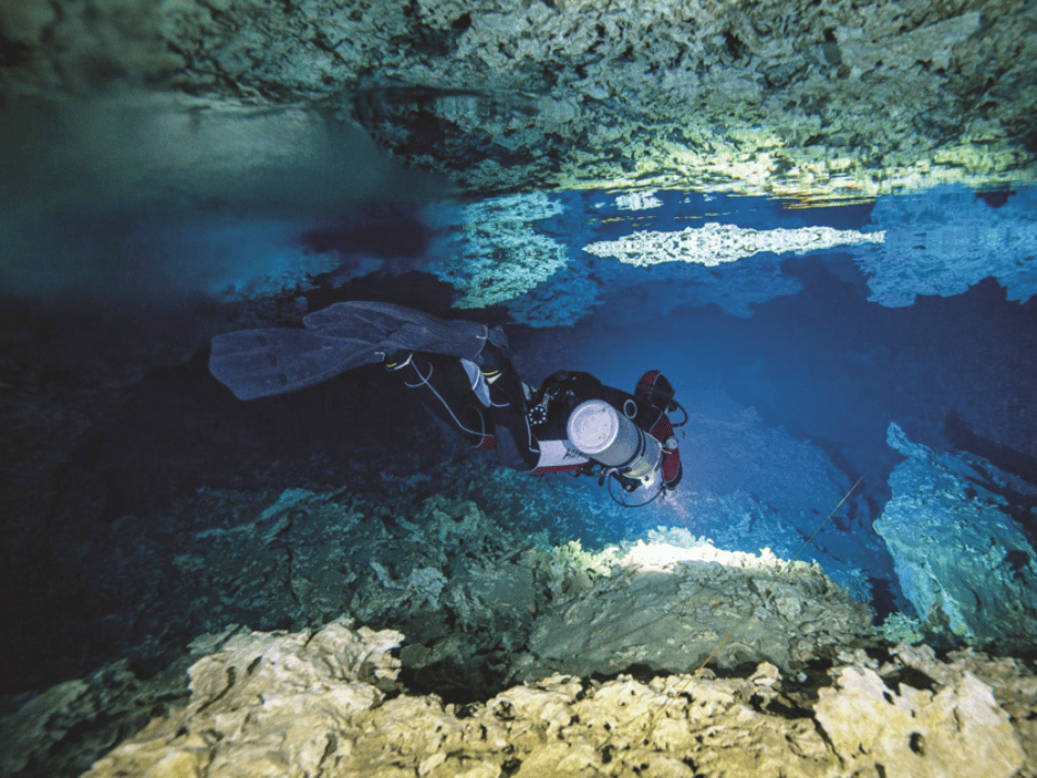 Cenotes articles (7)