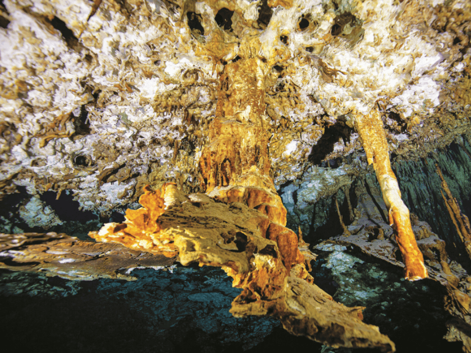 Cenotes articles (8)