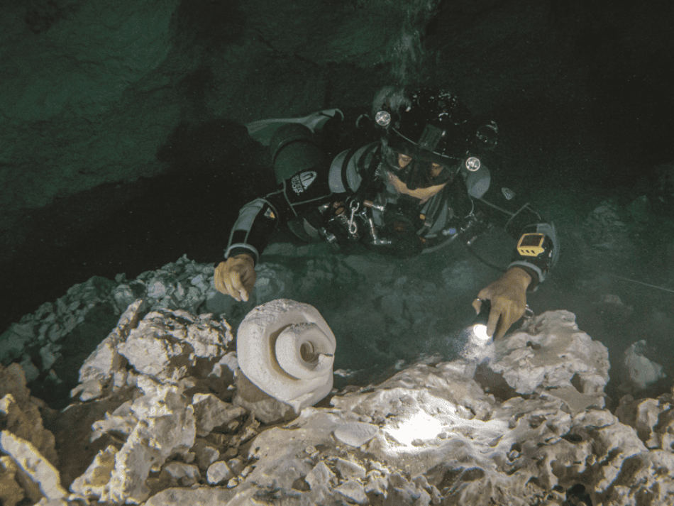 Cenotes articles (9)