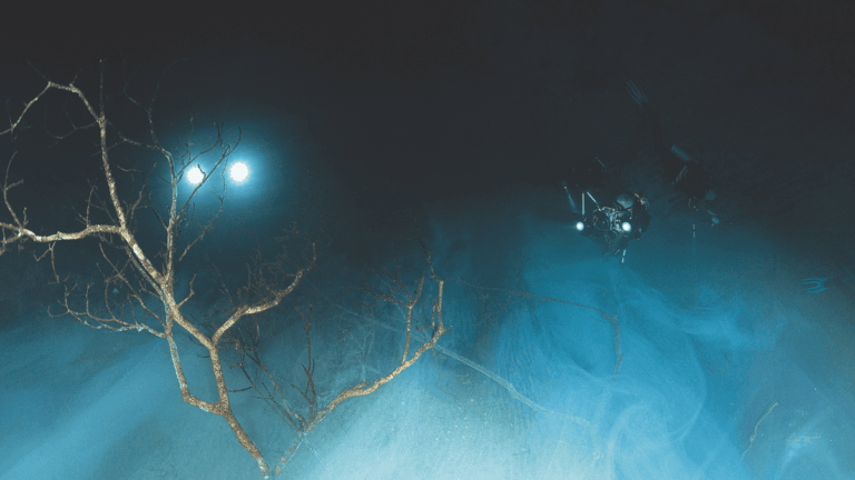 Cenotes couv (2)