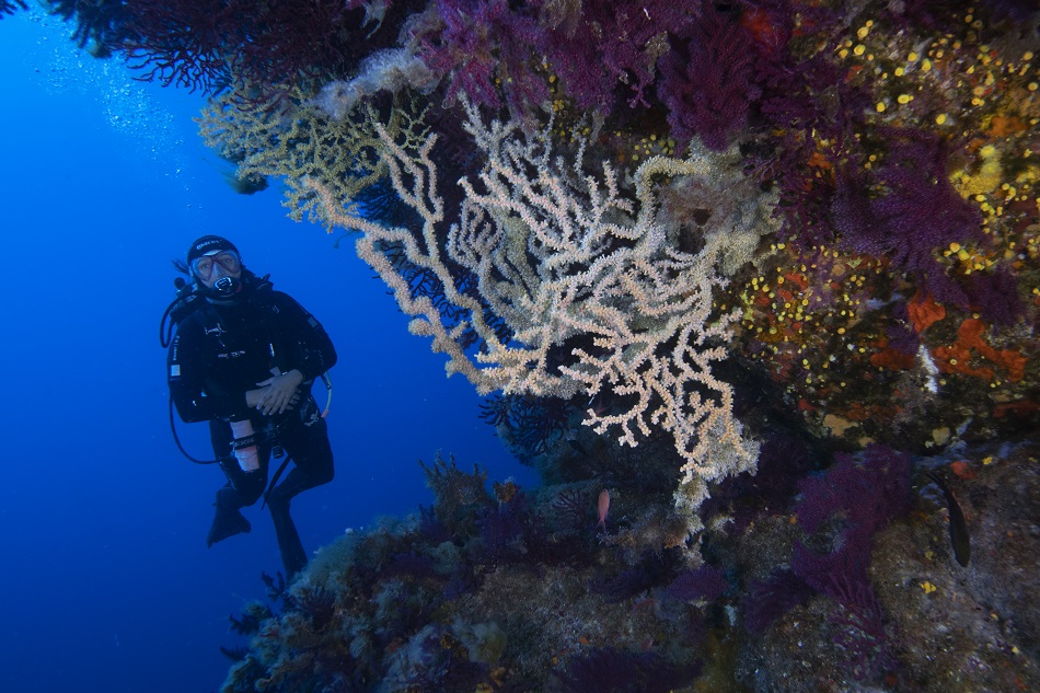 Corse scandola nicolas barraque (3)