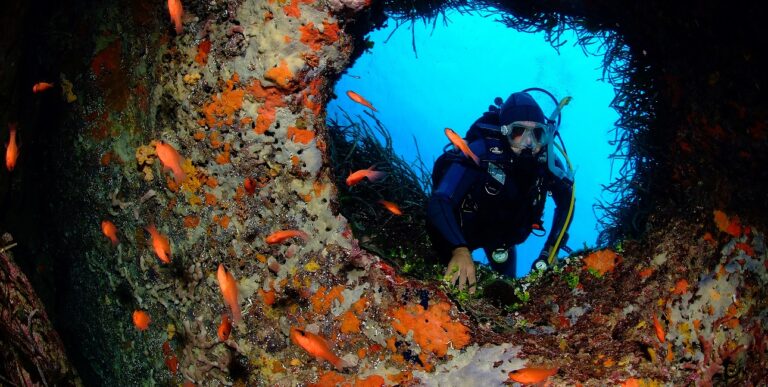 Un plongeur explore une épave colorée entourée de poissons tropicaux, révélant la richesse sous-marine de Sainte-Marie. #P...