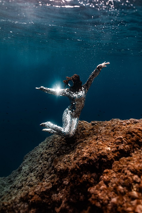 Underwater dauphin