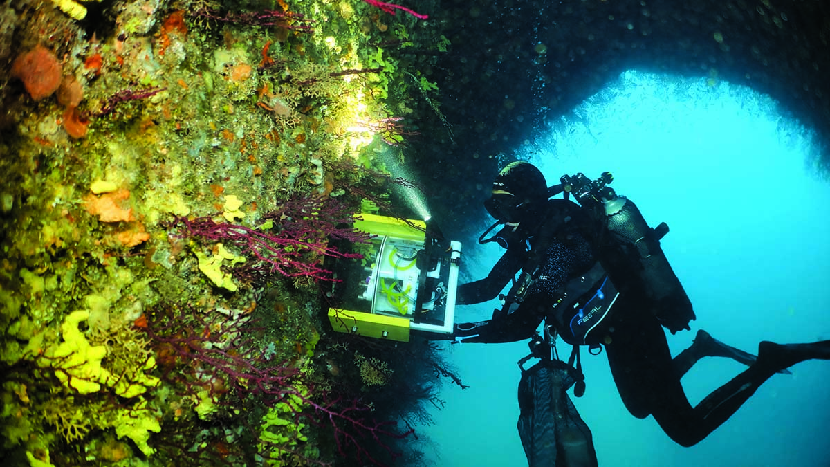 Un plongeur explore une grotte sous-marine illuminée, révélant la biodiversité cachée des récifs coralliens. #ExplorationM...