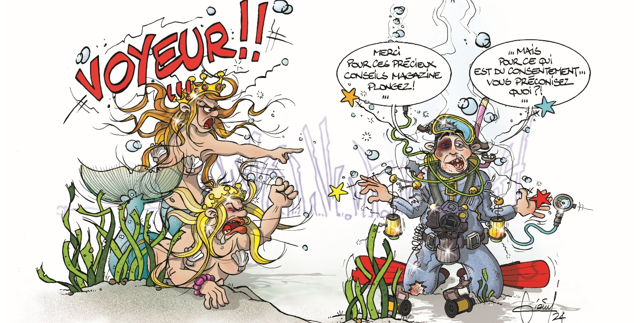 Un plongeur curieux interrompt involontairement des sirènes, illustrant l'importance du respect sous-marin. #PlongéeRespon...