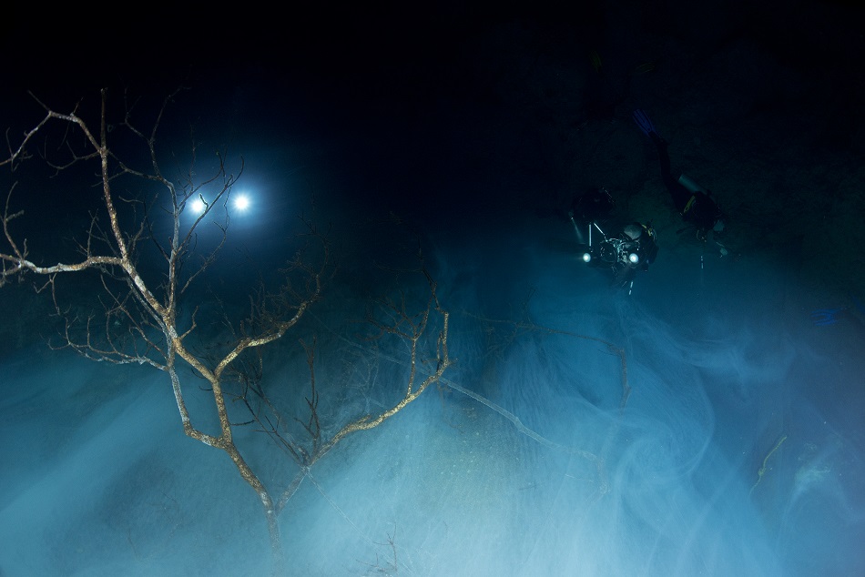 Photo cenote grotte
