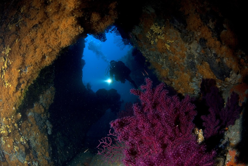 Photo cenote grotte 6