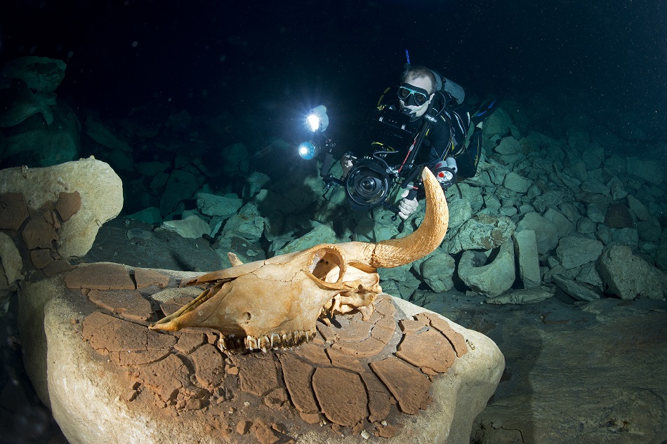 Photo cenote grotte 9