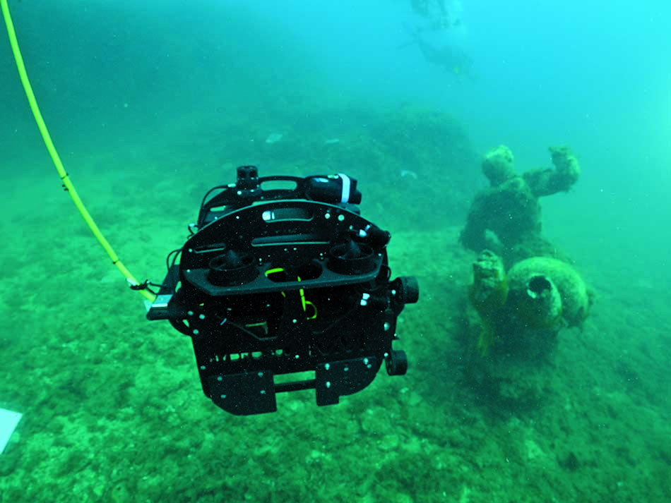 Rov et statue