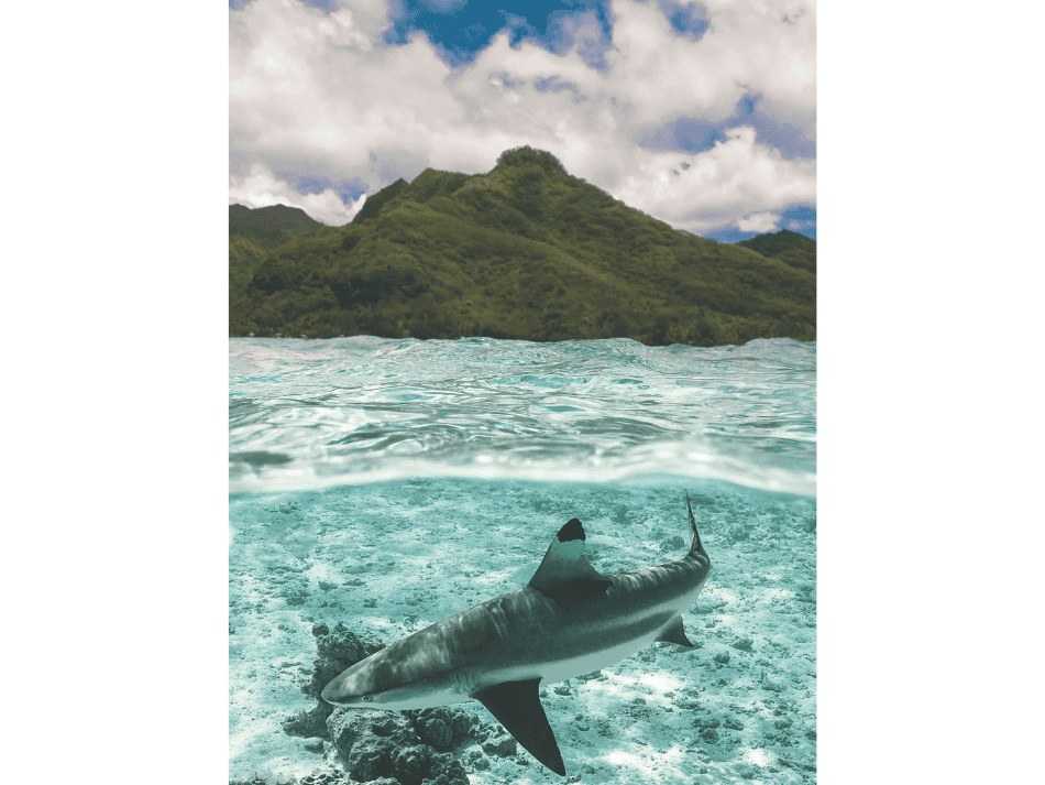 Tuamotu (12)