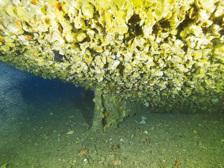 Epave phoebus plongee tek 3