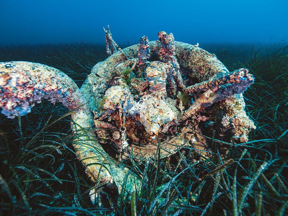 Epave sous marine corse 12