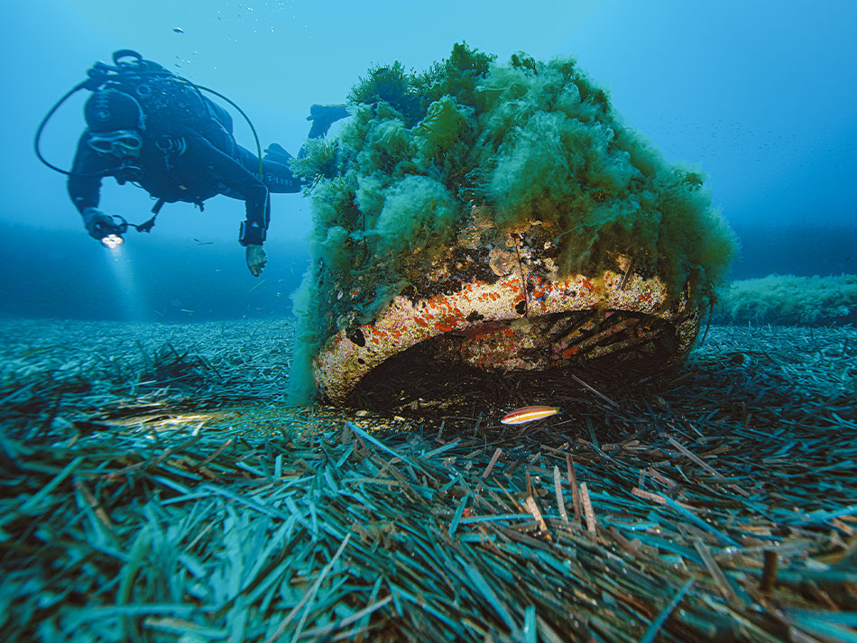 Epave sous marine corse 14