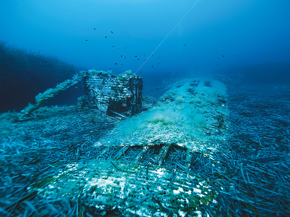 Epave sous marine corse 15