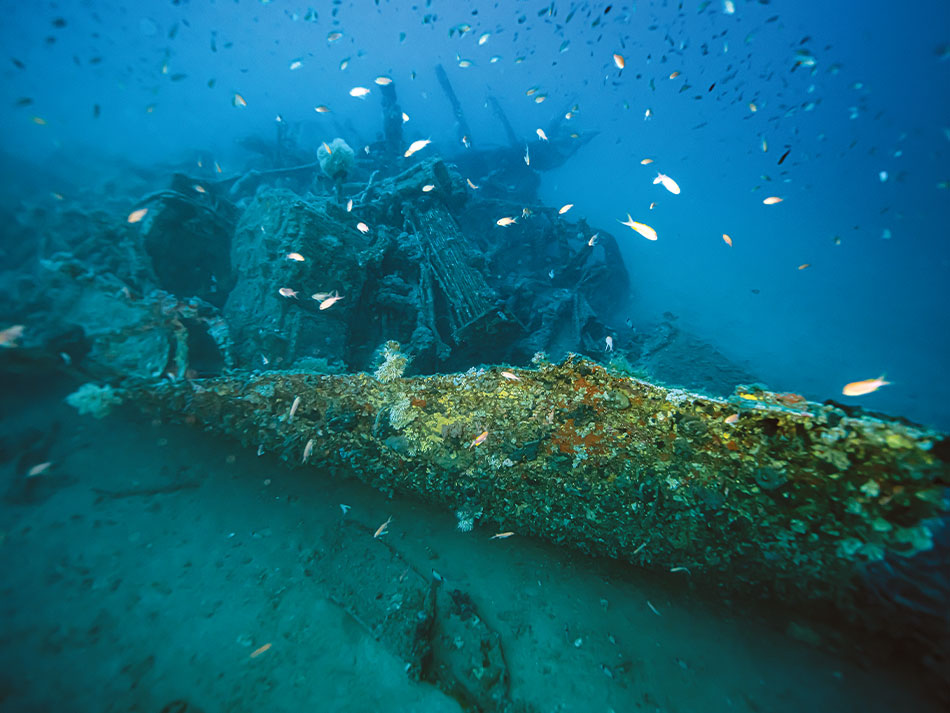 Epave sous marine corse 3