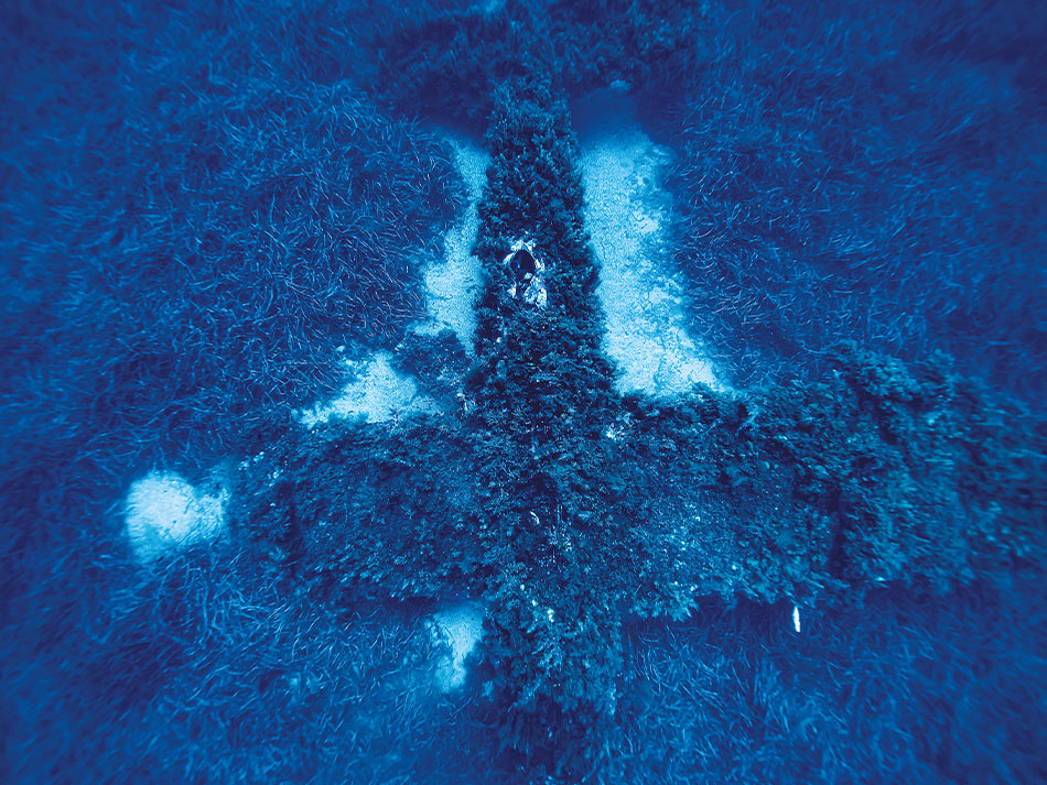 Epave sous marine corse 7
